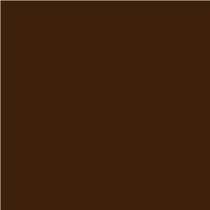 Doppelsatinband, col. 667 marron