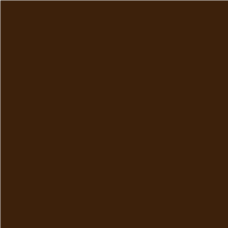 Doppelsatinband, col. 667 marron