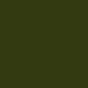 Doppelsatinband, col. 80 loden