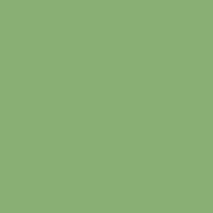 Doppelsatinband, col. 804 grass