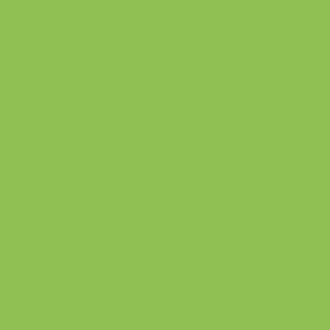 Doppelsatinband, col. 813 spring green