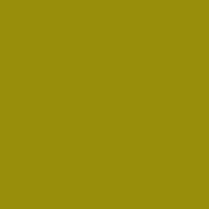 Doppelsatinband, col. 817 cress green