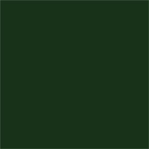 Doppelsatinband, col. 864 dark green
