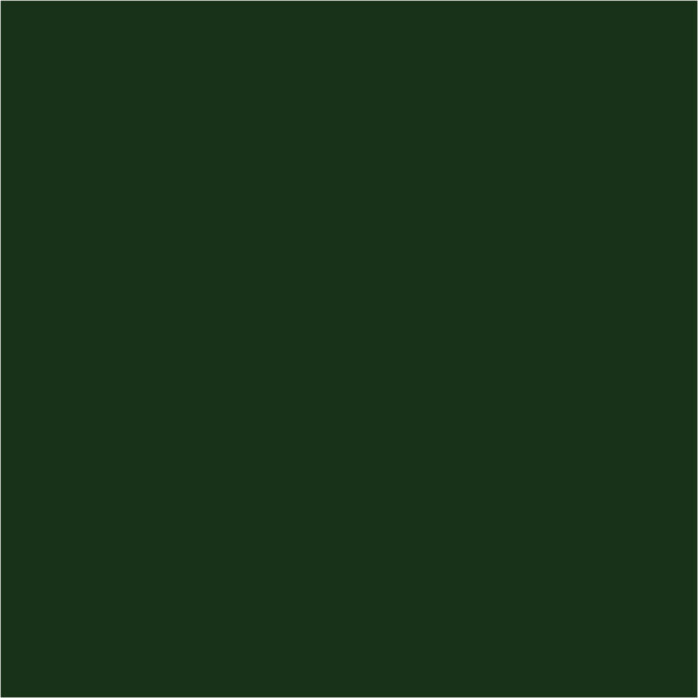 Doppelsatinband, col. 864 dark green