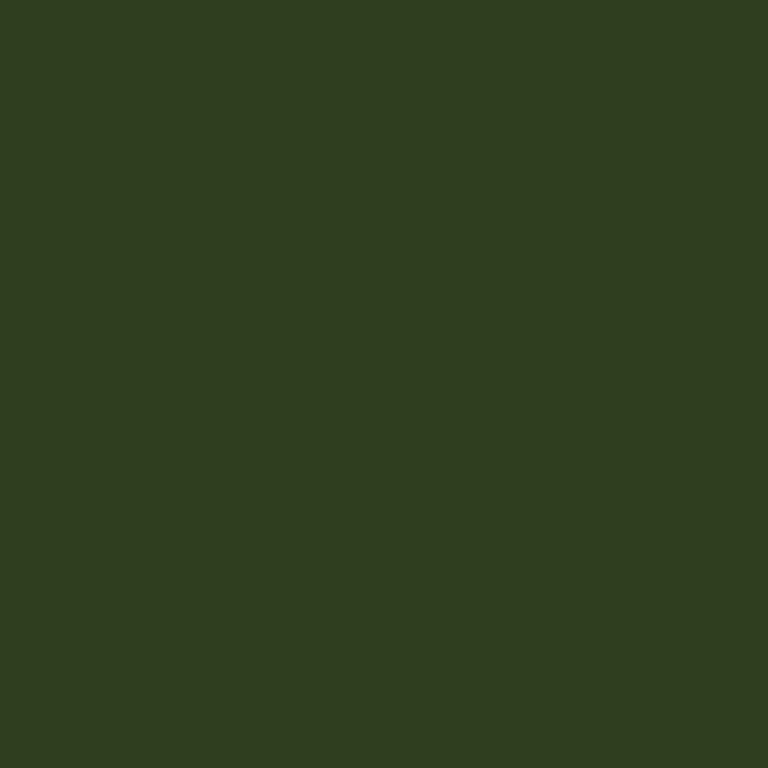 Doppelsatinband, col. 893 olive