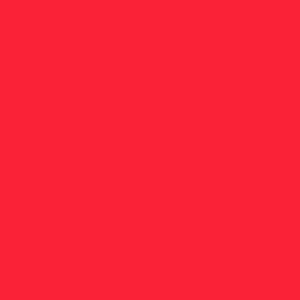 Doppelsatinband, col. 998 neon red