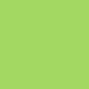 Nylvalour - Samtband, col. 527 apple green